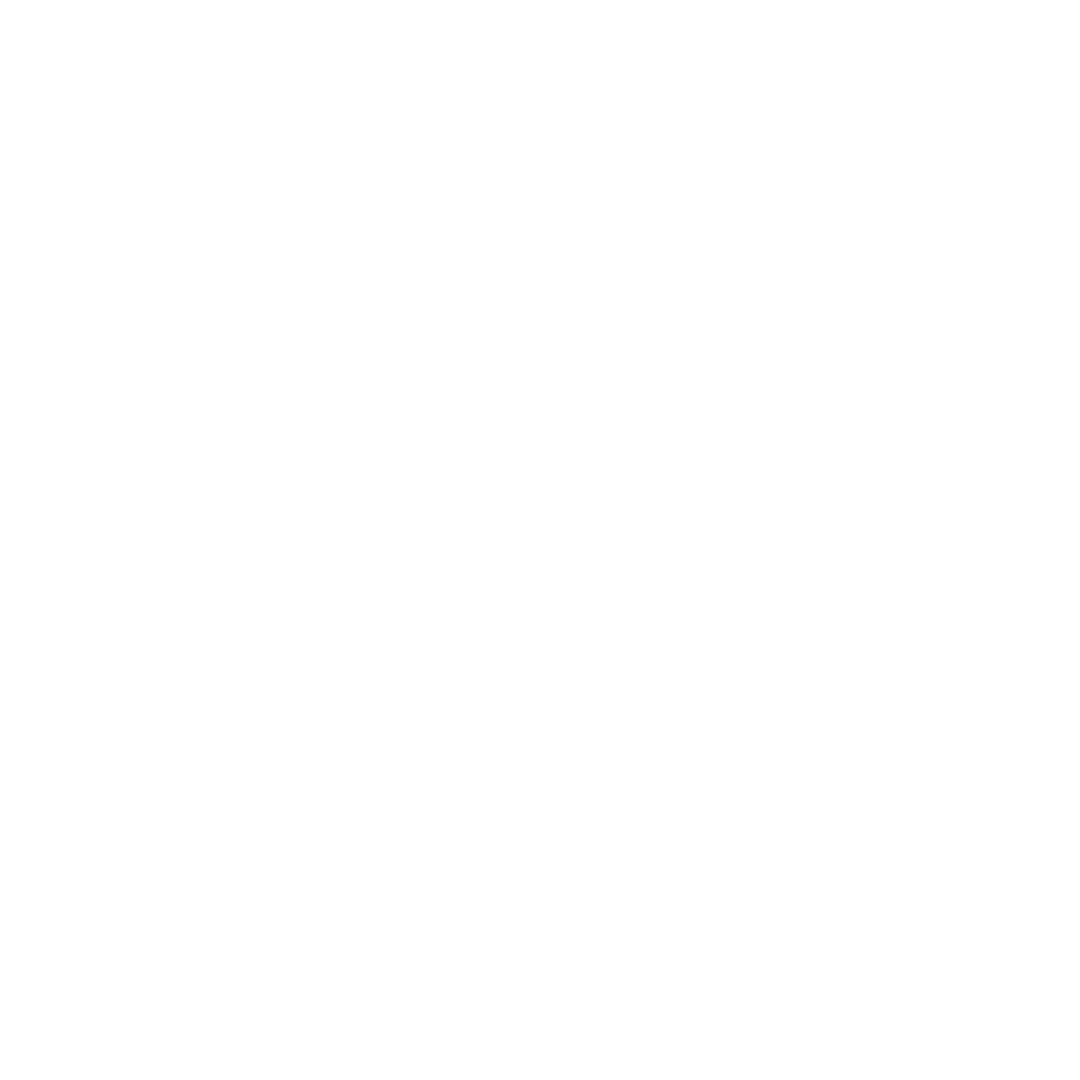 Casal Consulting Group